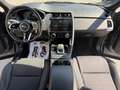 Jaguar E-Pace 2.0d i4 mhev R-Dynamic awd 163cv auto Grigio - thumbnail 11