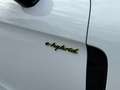 Porsche Panamera 4SE-Hybrid|Pano|Keyles|Bose|360°|Softc|Nachstsi Weiß - thumbnail 4