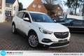 Opel Grandland X Grandland Business Innovation 2.0 D LEDER=NAVI=L Wit - thumbnail 24