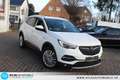 Opel Grandland X Grandland Business Innovation 2.0 D LEDER=NAVI=L Wit - thumbnail 23