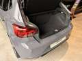SEAT Ibiza 1.0 EcoTSI 115 CV DSG 5 porte Anniversary Lim. Ed Grijs - thumbnail 16