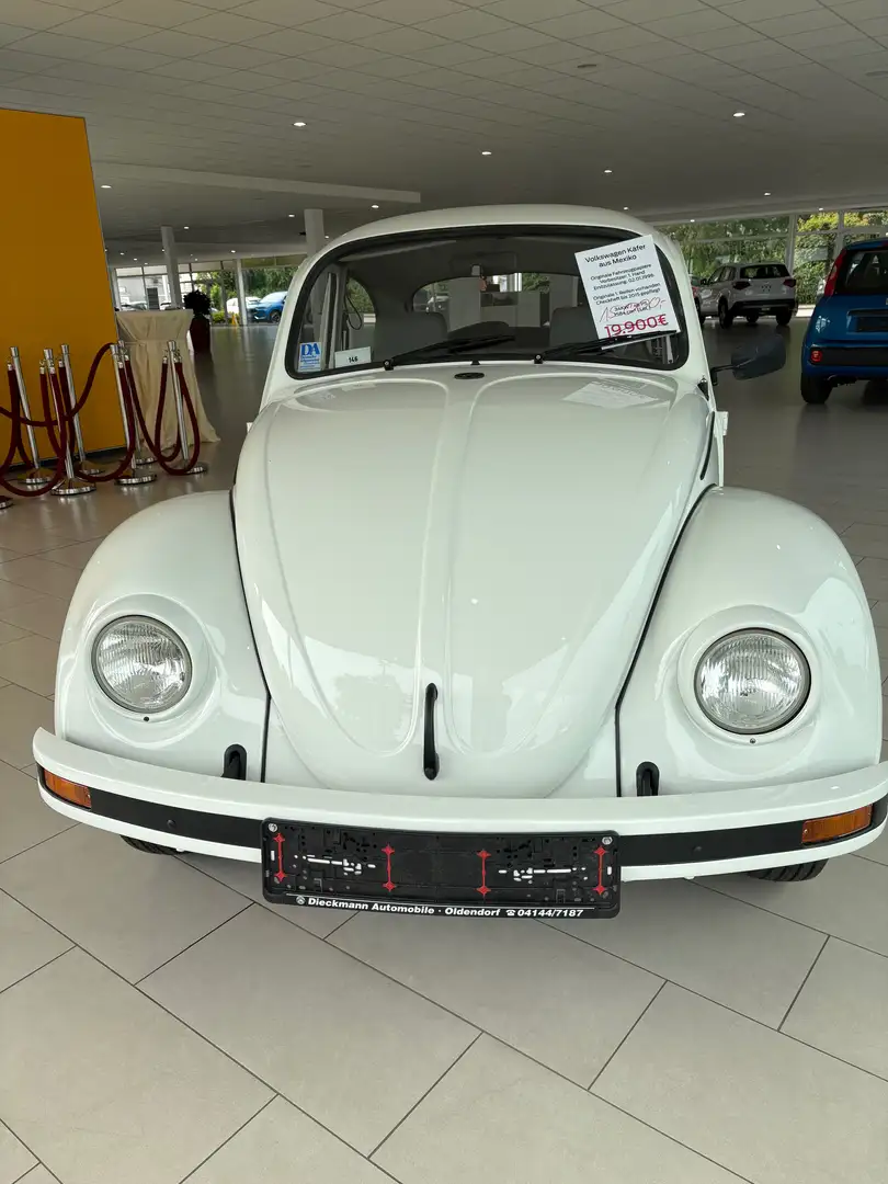 Volkswagen Käfer die wunderschönen Käfer komplett neu lackiert Weiß - 1