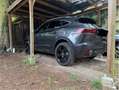 Jaguar E-Pace E-Pace P250 AWD R Dynamic SE Grau - thumbnail 2
