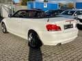 BMW 118 Baureihe 1 Cabrio 118i 3,99% FINAZIERUNGEN Blanc - thumbnail 15