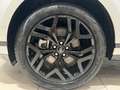 Land Rover Range Rover Evoque P300e R-Dynamic S 20 Zoll Navi Weiß - thumbnail 9