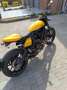 Ducati Scrambler full throttle Jaune - thumbnail 2