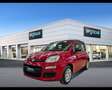 Fiat Panda 1.0 FireFly Hybrid Rosso - thumbnail 1