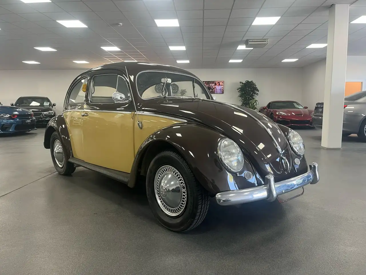 Volkswagen Käfer Ovali/Classic Data/Zweifarblackierung, foto 5