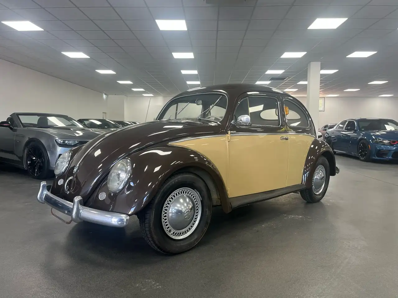 Volkswagen Käfer Ovali/Classic Data/Zweifarblackierung, foto 3