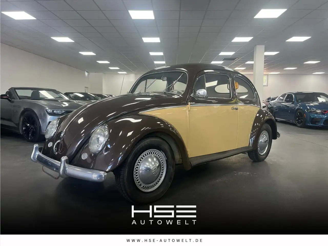 Volkswagen Käfer Ovali/Classic Data/Zweifarblackierung, foto 1
