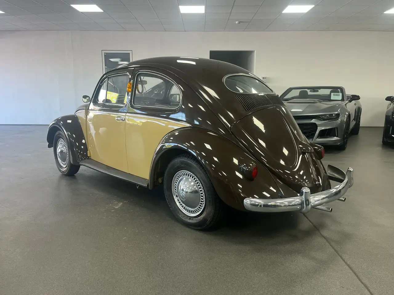 Volkswagen Käfer Ovali/Classic Data/Zweifarblackierung, foto 7