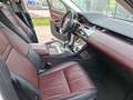Land Rover Range Rover Evoque Mild Hybrid 2.0 4x4 Blanc - thumbnail 9