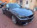 BMW M4 Competition Cabrio+DE FHRZ+OHNE OPF+H&K Grijs - thumbnail 15