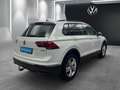 Volkswagen Tiguan 2.0TDI DSG 4M AHK MATRIX ACC LED NAVI Weiß - thumbnail 16