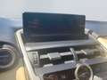 Lexus NX 300h E-FOUR Luxury Line *Matrix*360*HUD*Pano* Rot - thumbnail 15