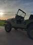 Jeep CJ-5 Willys Grün - thumbnail 3