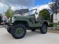Jeep CJ-5 Willys Grün - thumbnail 2