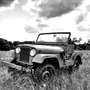 Jeep CJ-5 Willys Grün - thumbnail 1