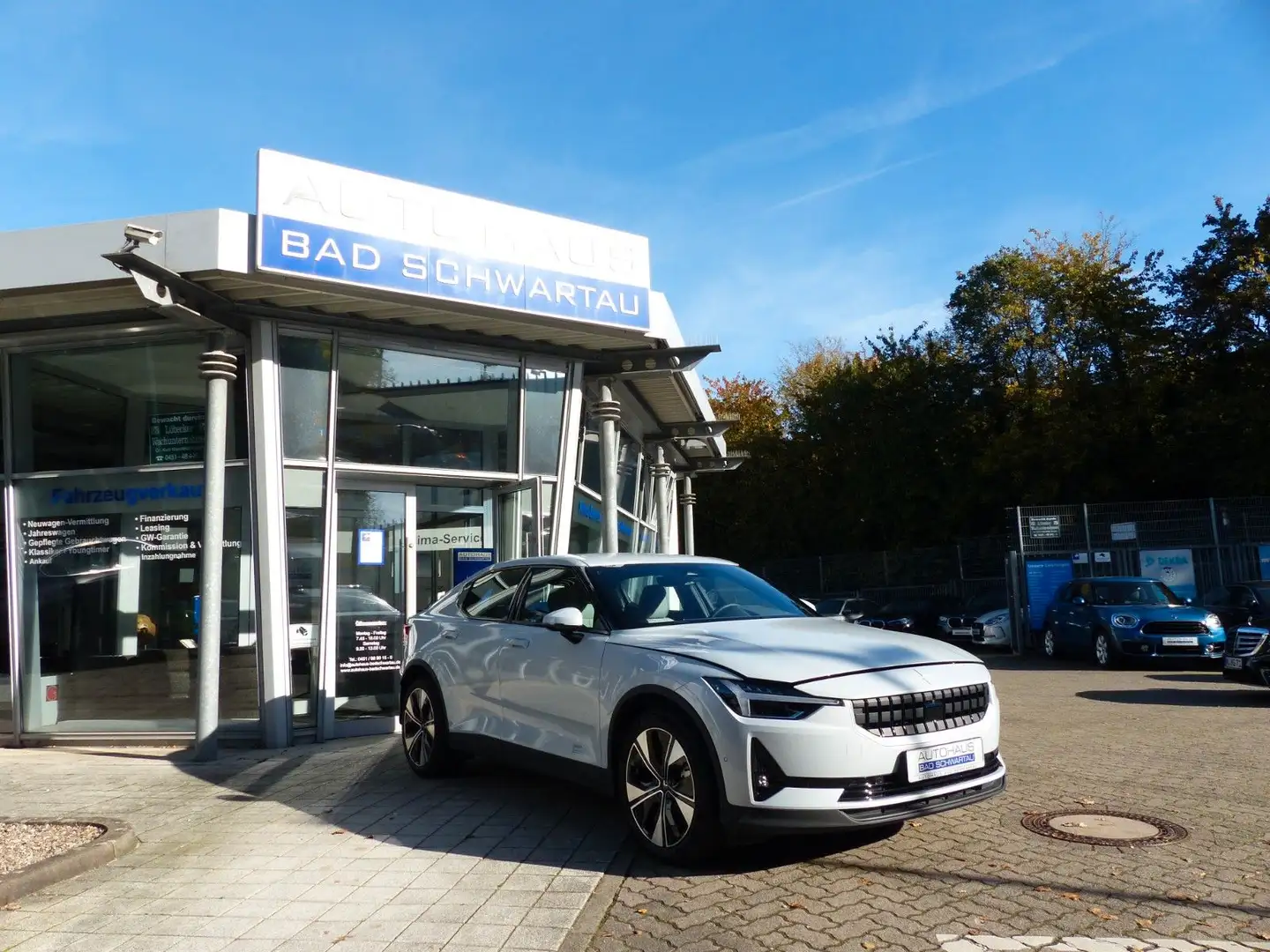 Polestar 2 Standard Range Single Argento - 1
