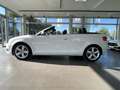 Audi A3 Cabrio 1.8 TFSI S-LINE NAVI XENON PDC SHZ GRA Weiß - thumbnail 5