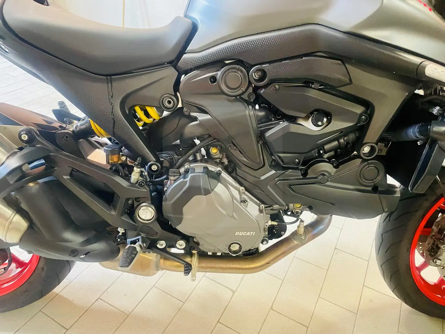 Ducati Monster 937 PLUS Grigio - 2