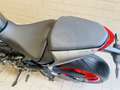 Ducati Monster 937 PLUS Grigio - thumbnail 11