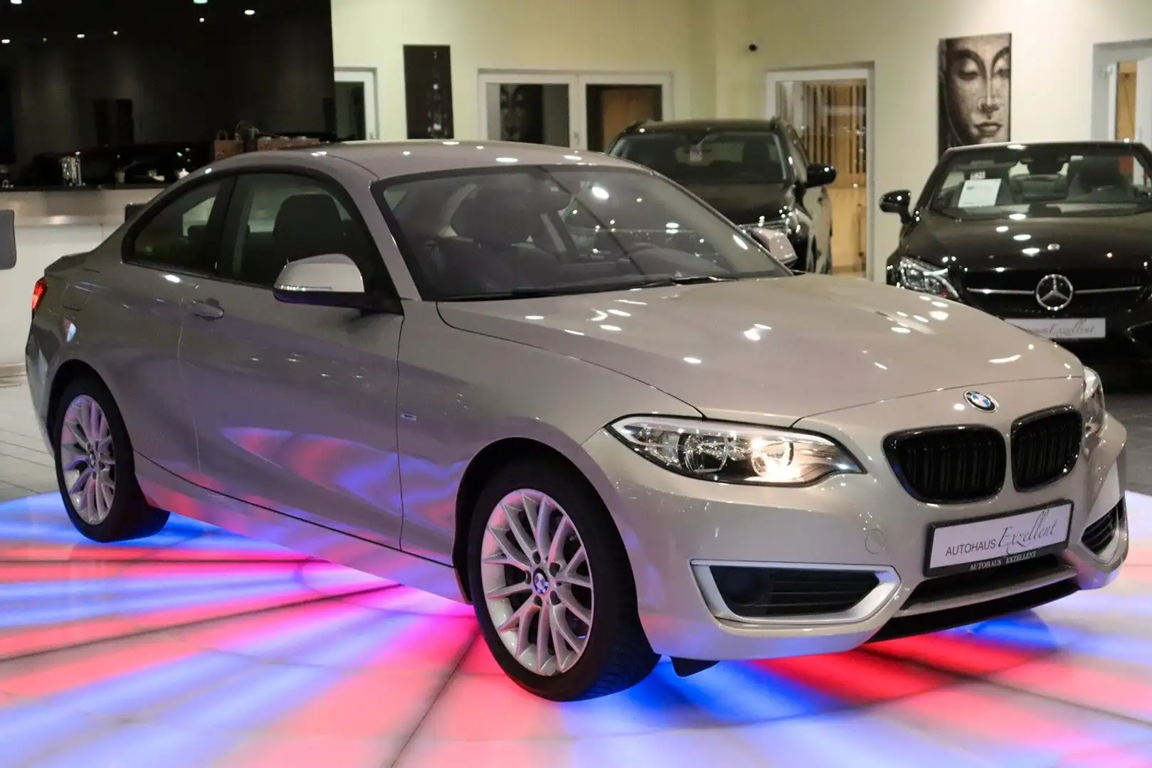 BMW 220 i Coupe*LEDER*KLIMA*TEMPOMAT*ALU*LED*MFL*BC* Silber - 2