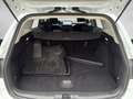 Ford Focus Titanium X Bluetooth Navi LED Klima Wit - thumbnail 16