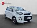 Kia Picanto PICANTO 1.0 Blanco - thumbnail 7