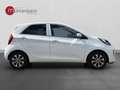 Kia Picanto PICANTO 1.0 Blanco - thumbnail 6
