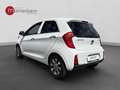 Kia Picanto PICANTO 1.0 Blanco - thumbnail 3