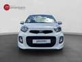 Kia Picanto PICANTO 1.0 Blanco - thumbnail 8