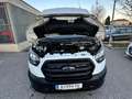 Ford Transit Transit Variobus 2,0 EcoBlue L2H2 350 Weiß - thumbnail 13