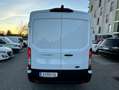 Ford Transit Transit Variobus 2,0 EcoBlue L2H2 350 Weiß - thumbnail 6