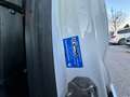 Ford Transit Transit Variobus 2,0 EcoBlue L2H2 350 Weiß - thumbnail 12