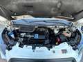 Ford Transit Transit Variobus 2,0 EcoBlue L2H2 350 Weiß - thumbnail 14