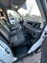 Ford Transit Transit Variobus 2,0 EcoBlue L2H2 350 Weiß - thumbnail 25