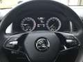 Skoda Kodiaq 2.0 TDI DSG Ambition Clever LED NAVI ACC AP Schwarz - thumbnail 11