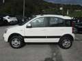 Fiat Panda 1.3 mjt 16v Climbing 4x4 75cv, gancio t, ottime c. Bianco - thumbnail 2