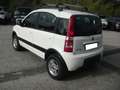 Fiat Panda 1.3 mjt 16v Climbing 4x4 75cv, gancio t, ottime c. Bianco - thumbnail 3