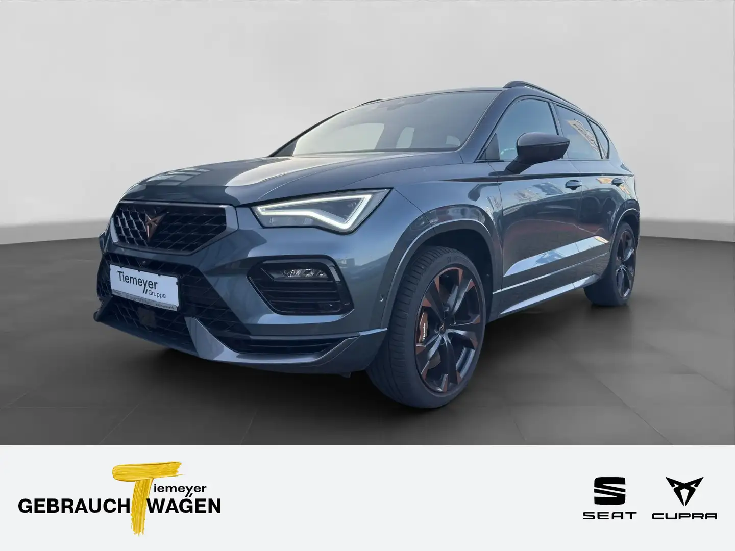 CUPRA Ateca BREMBO PANO LM19 MEMORY eKLAPPE Grau - 1