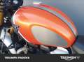 Triumph Scrambler 1200 XE Gold Line Abs Arancione - thumbnail 9