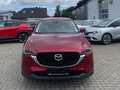 Mazda CX-5 Ad'vantage 2WD HEAD-UP-DISPLAY * 360KAMERA* Rot - thumbnail 2