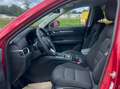 Mazda CX-5 Ad'vantage 2WD HEAD-UP-DISPLAY * 360KAMERA* Rot - thumbnail 11
