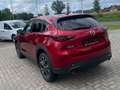 Mazda CX-5 Ad'vantage 2WD HEAD-UP-DISPLAY * 360KAMERA* Rot - thumbnail 7