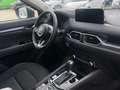 Mazda CX-5 Ad'vantage 2WD HEAD-UP-DISPLAY * 360KAMERA* Rot - thumbnail 17