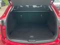 Mazda CX-5 Ad'vantage 2WD HEAD-UP-DISPLAY * 360KAMERA* Rot - thumbnail 8