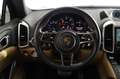 Porsche Cayenne Diesel Aut. Blanco - thumbnail 20