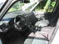 Ford Galaxy Galaxy Business Plus 2,0 TDCi Aut. Business Plus Weiß - thumbnail 9