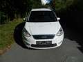 Ford Galaxy Galaxy Business Plus 2,0 TDCi Aut. Business Plus Weiß - thumbnail 3